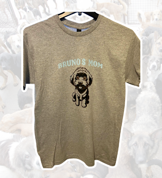 Jauregui and Co. untitled design (13)